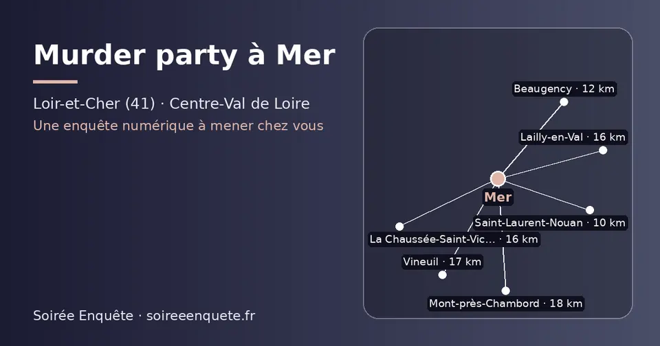 Carte schématique : Mer et les communes voisines présentées sur ce site (Saint-Laurent-Nouan, Beaugency, La Chaussée-Saint-Victor, Lailly-en-Val, Vineuil, Mont-près-Chambord)
