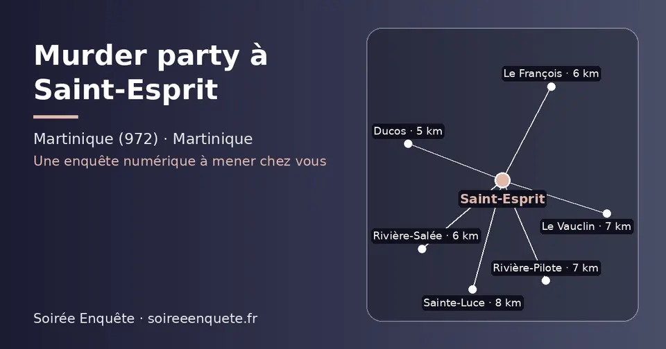 Carte schématique : Saint-Esprit et les communes voisines présentées sur ce site (Ducos, Rivière-Salée, Le François, Rivière-Pilote, Le Vauclin, Sainte-Luce)
