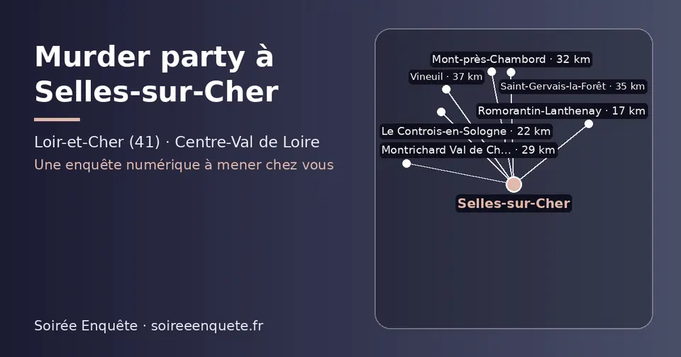 Carte schématique : Selles-sur-Cher et les communes voisines présentées sur ce site (Romorantin-Lanthenay, Le Controis-en-Sologne, Montrichard Val de Cher, Mont-près-Chambord, Saint-Gervais-la-Forêt, Vineuil)